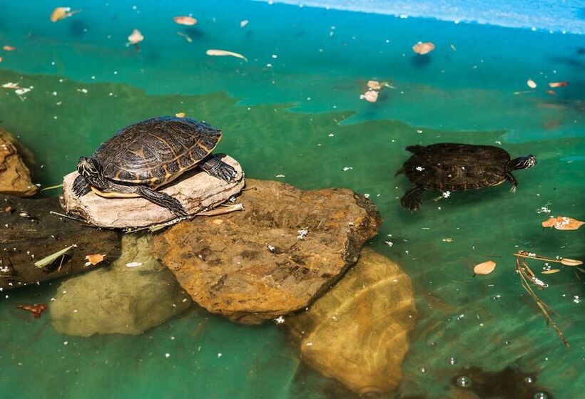 فندق ريفى Rural Quinta Do Marco  Nature & Dining