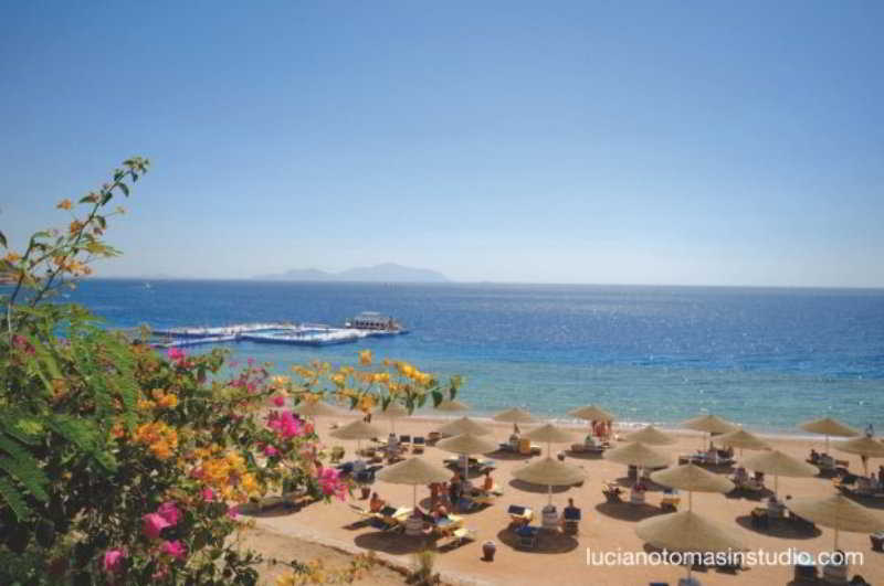 Domina Oasis  & Resort