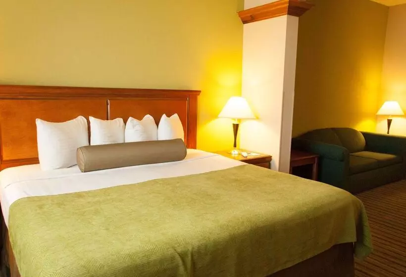 ホテル Best Western Plus Miami Doral/dolphin Mall