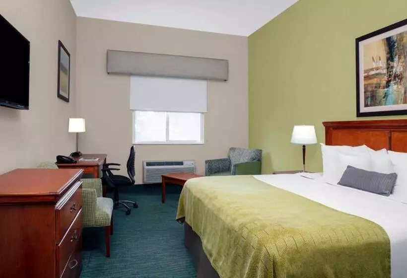ホテル Best Western Plus Miami Doral/dolphin Mall