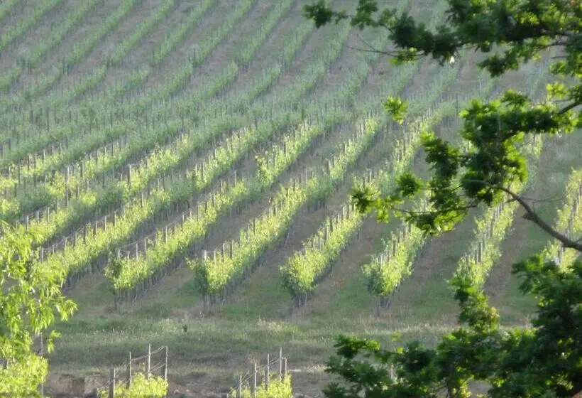 هتل Burgundy Bourgogne Historic Manor House & Cottages