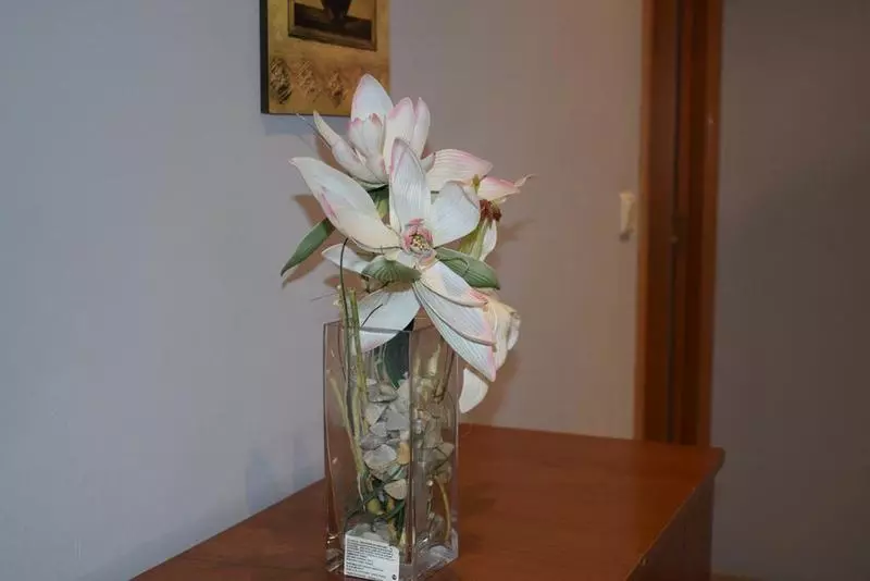 Apartamentos Vida Versus