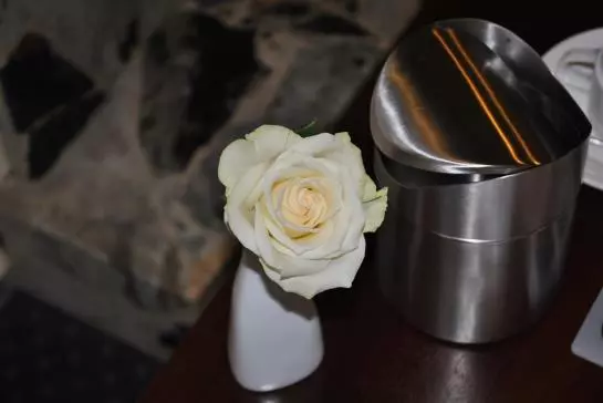 City Partner Hotel Amadeo