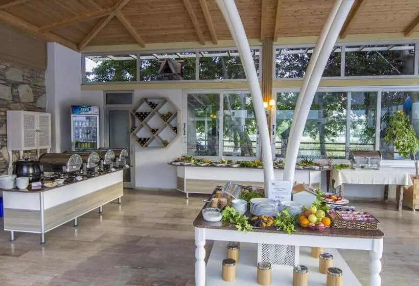 ホテル Dalyan Basar