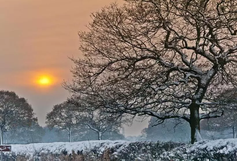 Отель Morley Hayes