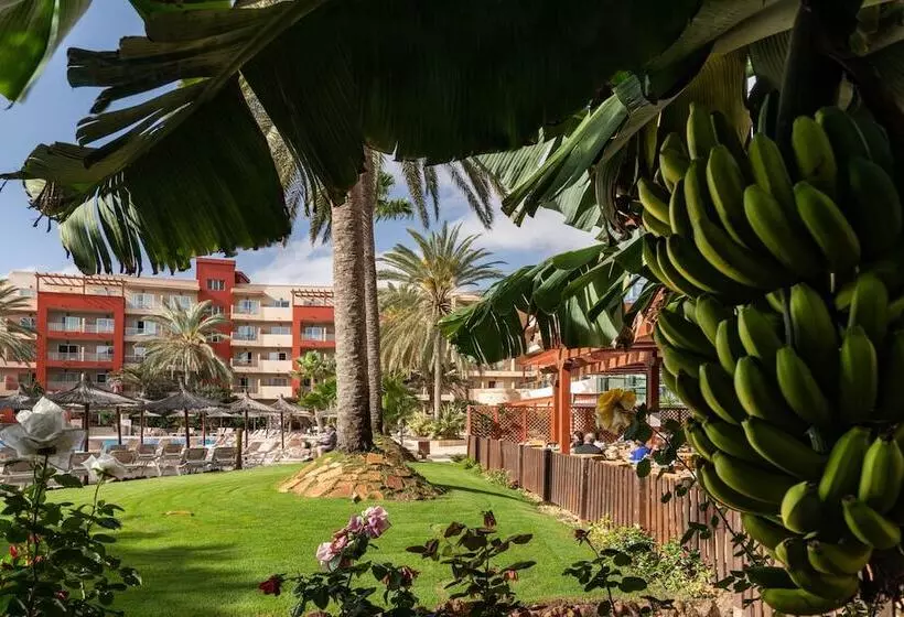 Elba Carlota Beach & Golf Resort