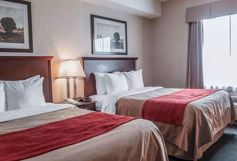 فندق Comfort Inn