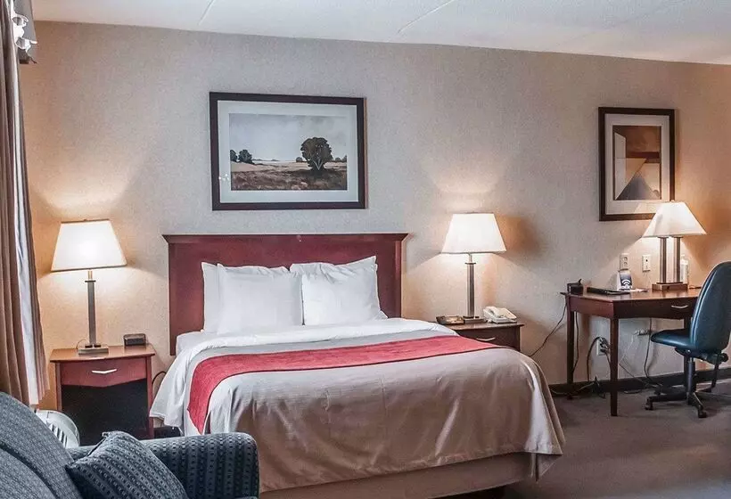 فندق Comfort Inn