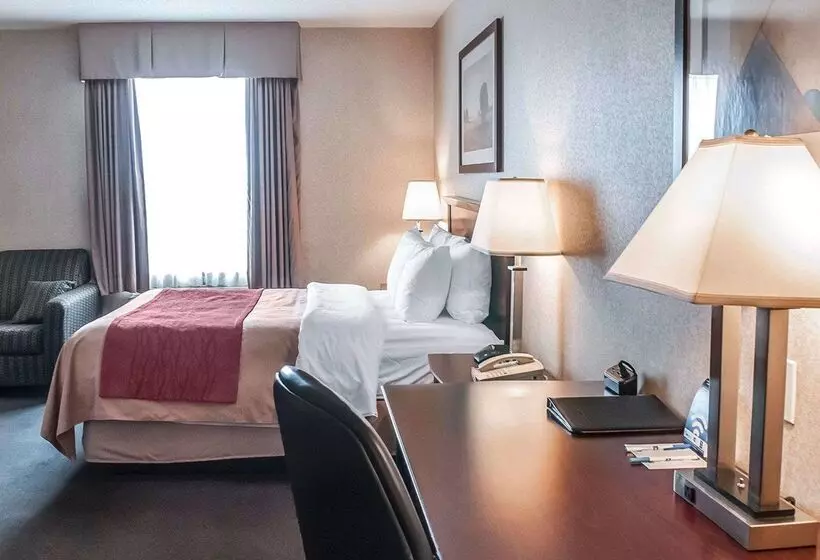 فندق Comfort Inn