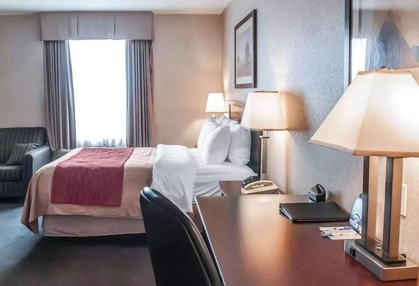 فندق Comfort Inn