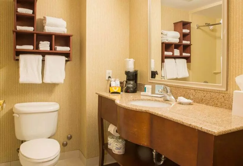 בית מלון כפרי Hampton Inn By Hilton Toronto Mississauga West