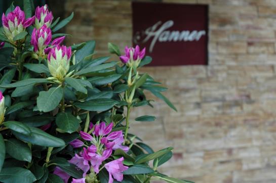酒店 Hanner