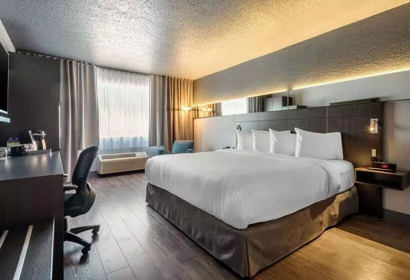 Quartier, Ascend Hotel Collection