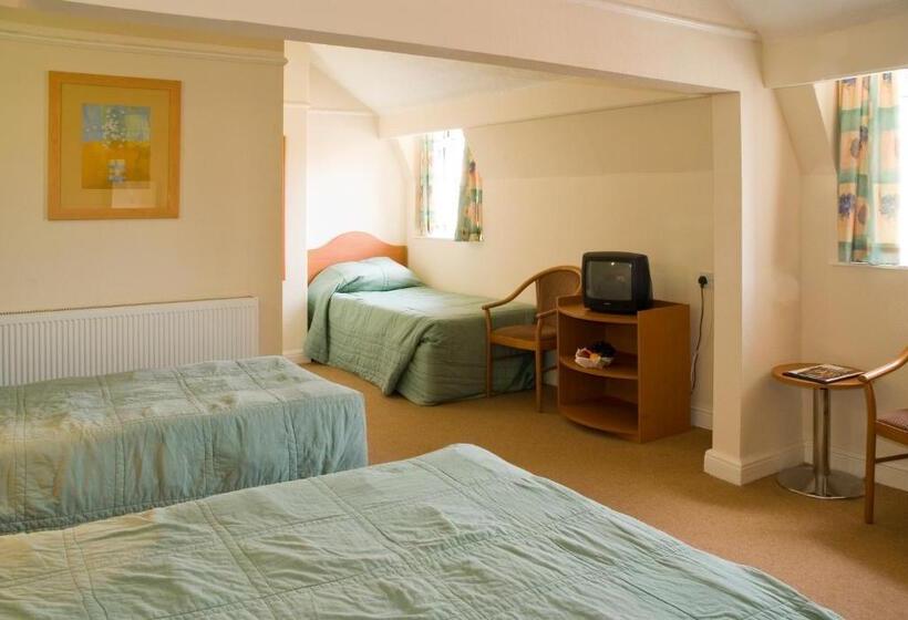 Отель The Metropole