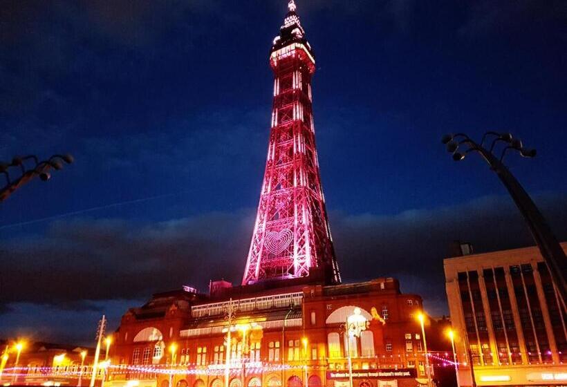 Отель The Metropole