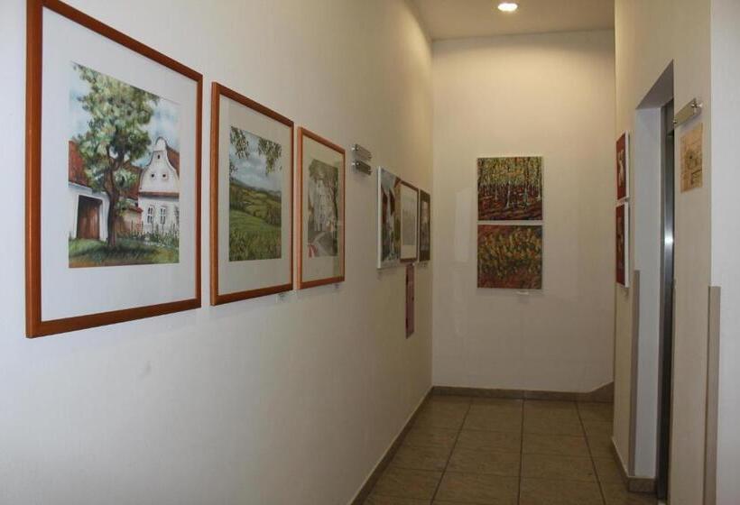 בית מלון כפרי Dvorak