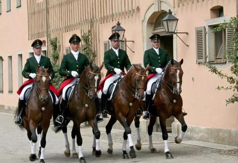 בית מלון כפרי Eisenberger Hof