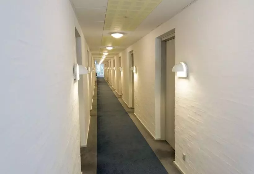 酒店 Juelsminde Strand