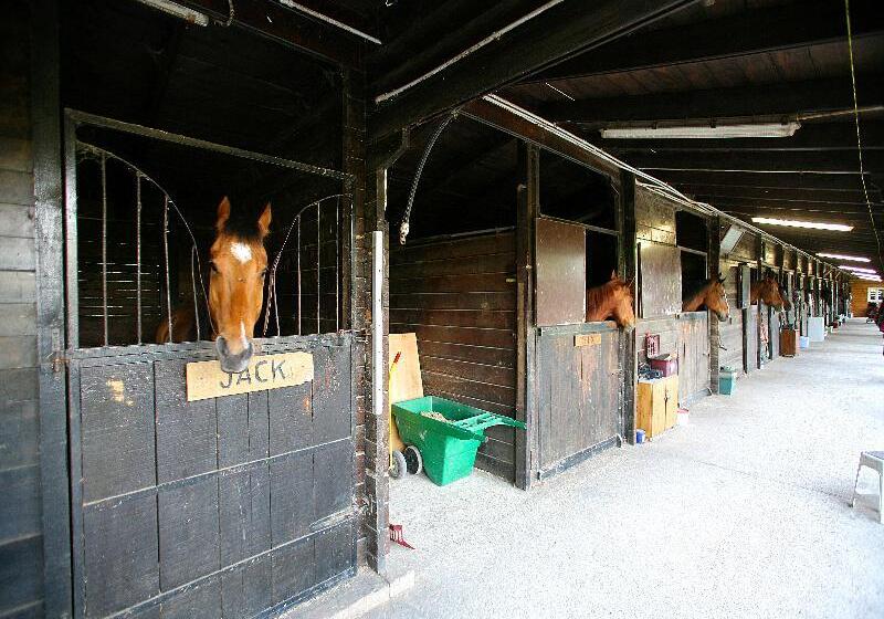 Otel Tenuta Il Burchio