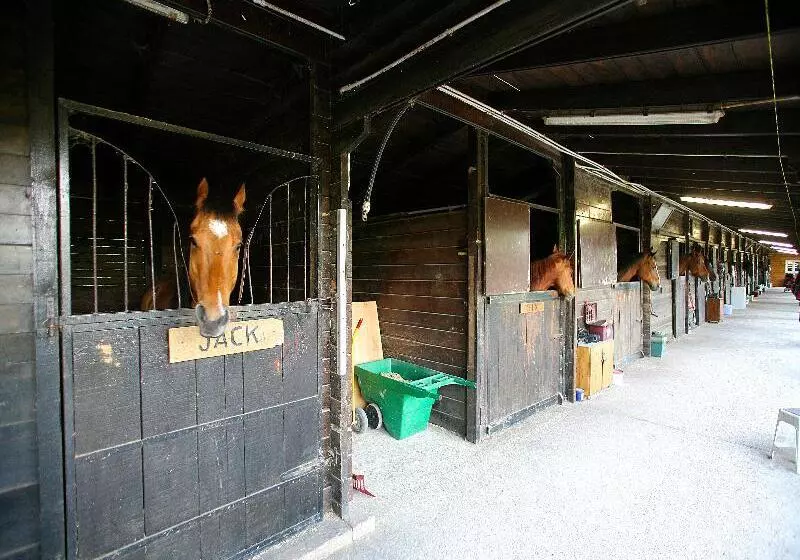 Отель Tenuta Il Burchio