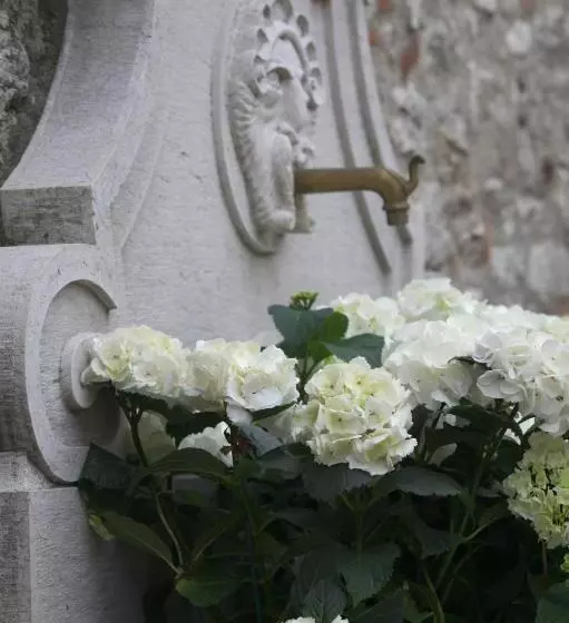 ホテル Villa Fenaroli Palace