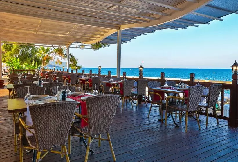 Crystal Aura Beach Resort & Spa   Ultimate All Inclusive