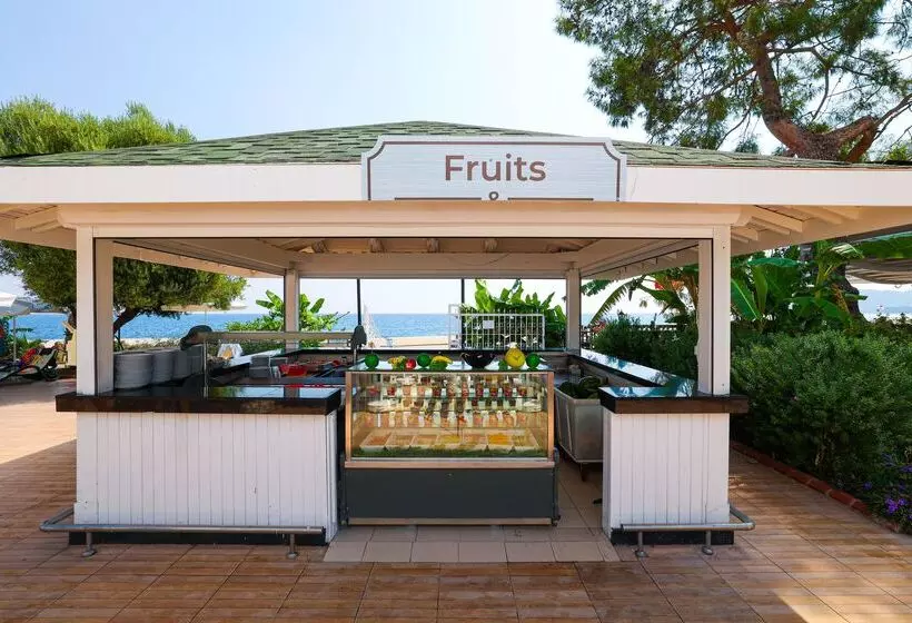 Crystal Aura Beach Resort & Spa   Ultimate All Inclusive