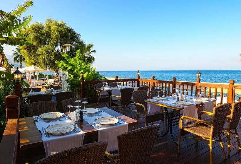 Crystal Aura Beach Resort & Spa   Ultimate All Inclusive