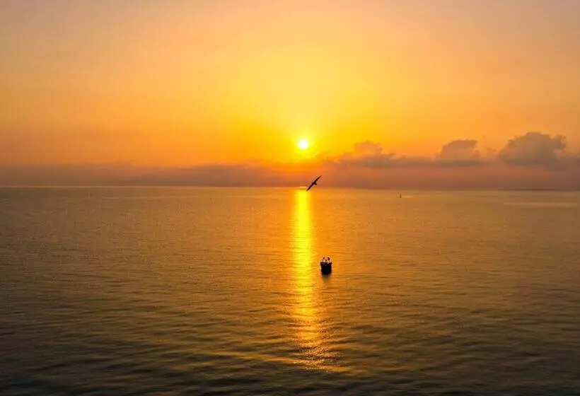 Crystal Aura Beach Resort & Spa   Ultimate All Inclusive