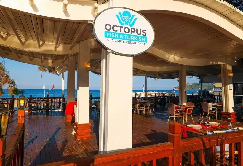 Crystal Aura Beach Resort & Spa   Ultimate All Inclusive