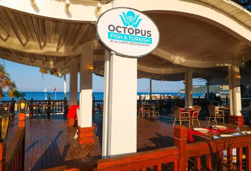 Crystal Aura Beach Resort & Spa   Ultimate All Inclusive