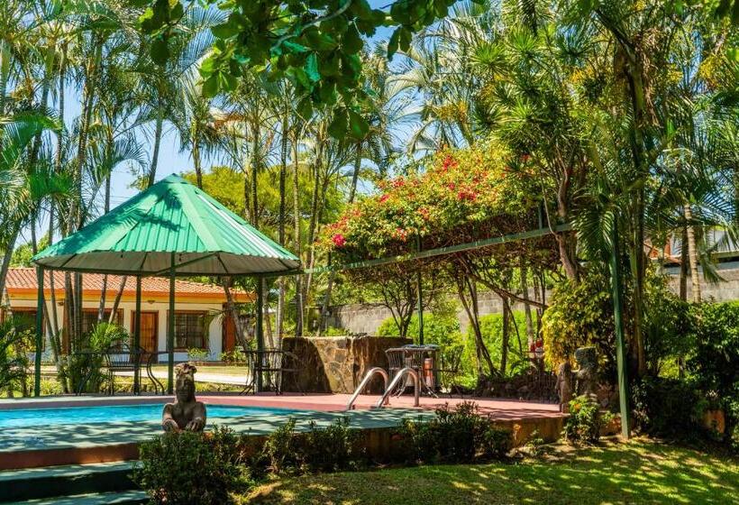 酒店 Bristol Aeropuerto