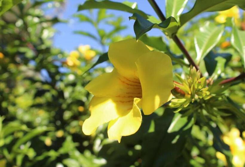 酒店 Bristol Aeropuerto