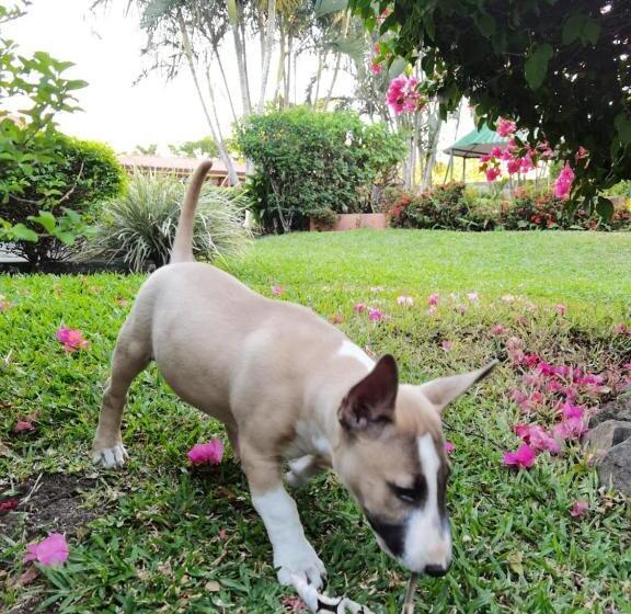 酒店 Bristol Aeropuerto