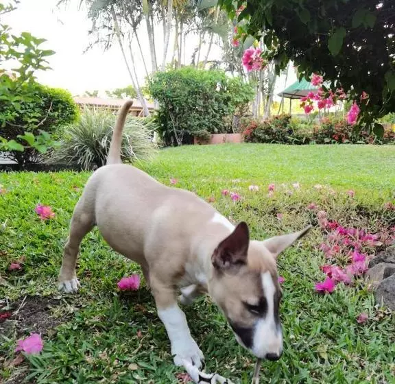 Отель Bristol Aeropuerto