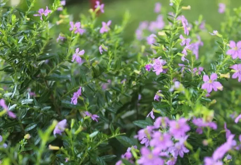 Отель Bristol Aeropuerto