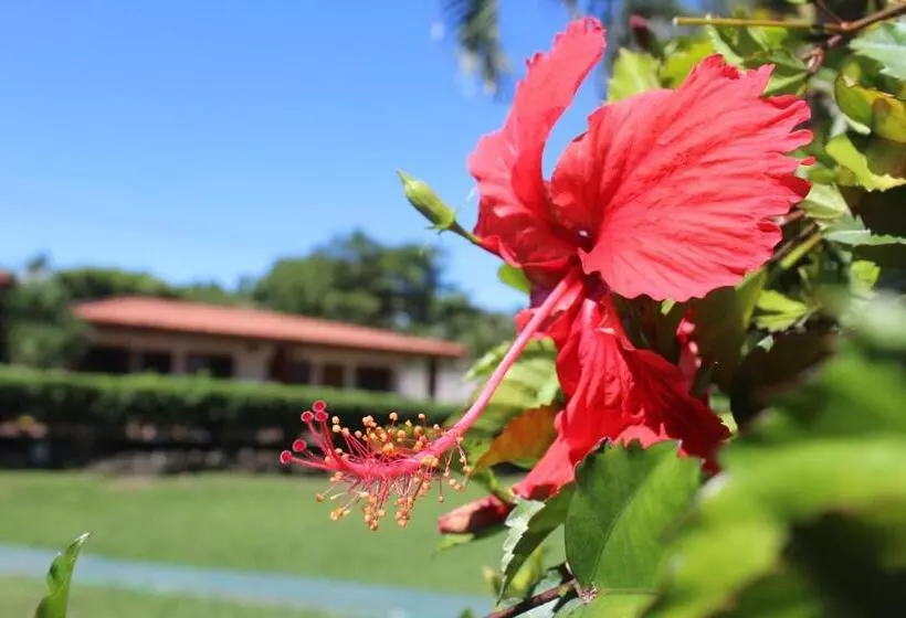 Отель Bristol Aeropuerto