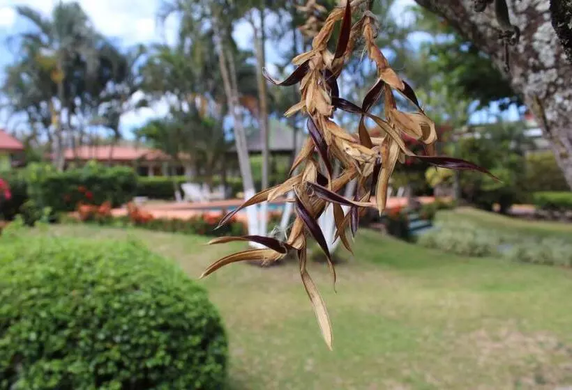 Отель Bristol Aeropuerto