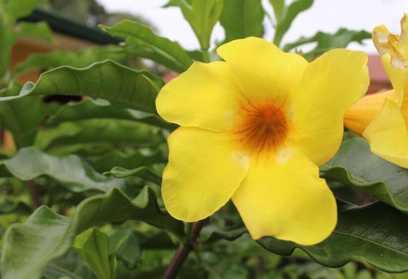 酒店 Bristol Aeropuerto