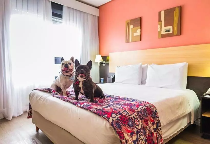 酒店 Comfort Porto Alegre