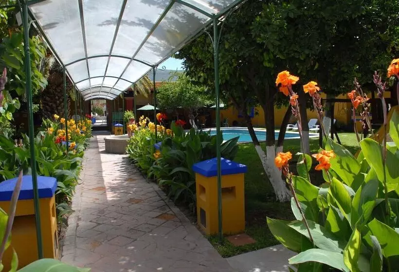 Hotel Hacienda Don Cenobio