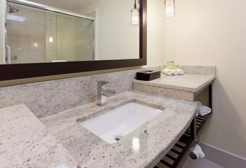 호텔 Holiday Inn Express Dalton, An Ihg