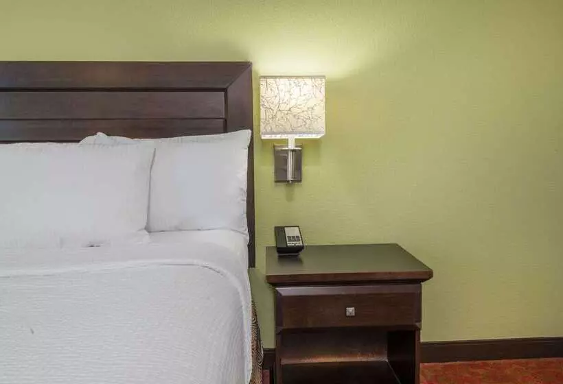 호텔 La Quinta By Wyndham San Antonio Medical Ctr. Nw