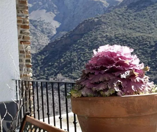 בית מלון כפרי La Fragua Ii