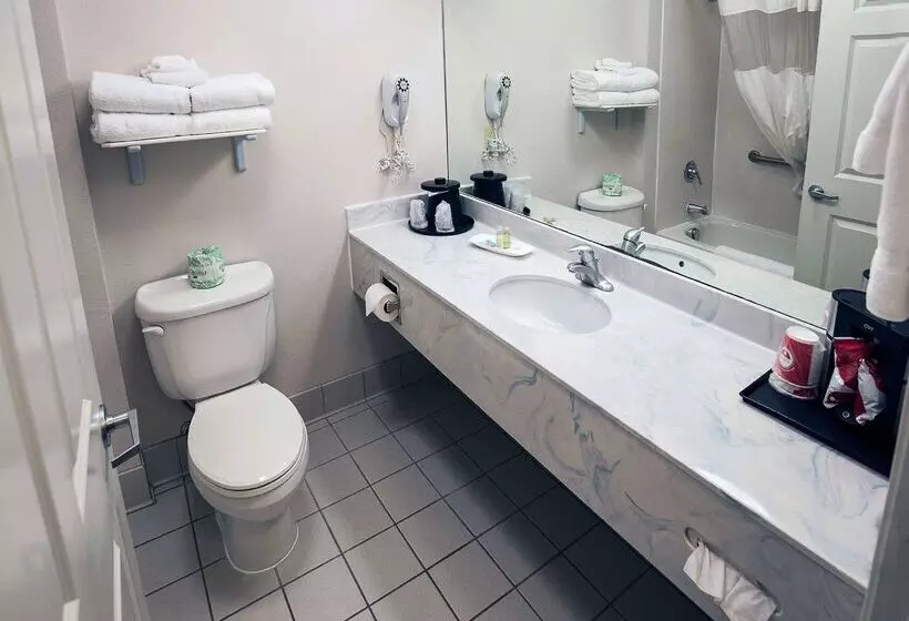 Surestay Plus Hotel By Best Western Billings