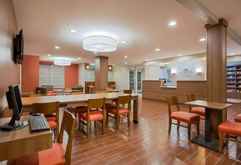 Microtel Inn & Suites By Wyndham Walterboro