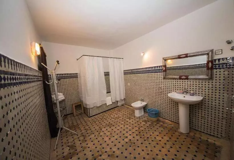 Riad Sara