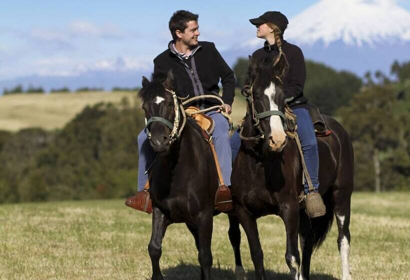 酒店 Playa Maqui Lodge