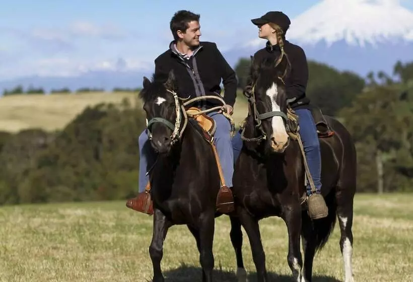 ホテル Playa Maqui Lodge