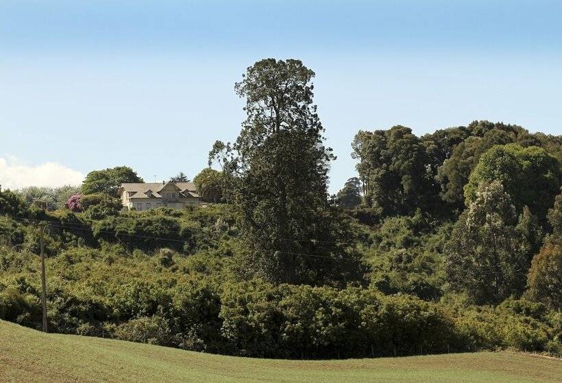 酒店 Playa Maqui Lodge